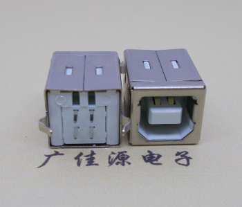 泸州USB BF180度母座 打印机接口 立式直插带赛