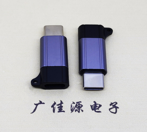 泸州Type-C母转Type-C公 USB3.1 PD100W快冲接口